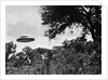 UFO Flying Low Over Trees by Anonymous