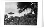 UFO Flying Low Over Trees by Anonymous