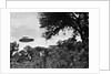 UFO Flying Low Over Trees by Anonymous