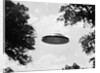 UFO Flying Low Over Trees by Anonymous