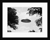 UFO Flying Low Over Trees by Anonymous