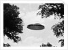 UFO Flying Low Over Trees by Anonymous