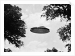 UFO Flying Low Over Trees by Anonymous