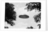 UFO Flying Low Over Trees by Anonymous