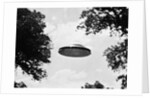 UFO Flying Low Over Trees by Anonymous