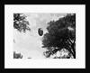 UFO Flying Low Over Tree Line by Anonymous