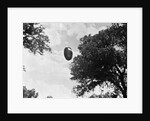 UFO Flying Low Over Tree Line by Anonymous