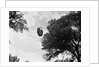 UFO Flying Low Over Tree Line by Anonymous