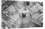Elevator Shaft of the Eiffel Tower by Anonymous