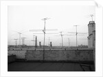 Antennas on New York Rooftops by Anonymous