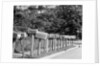 Row of Mailboxes by Anonymous