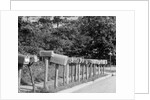Row of Mailboxes by Anonymous