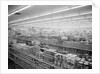 Interior View of Supermarket, 1955 by Anonymous