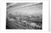Interior View of Supermarket, 1955 by Anonymous