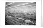 Interior View of Supermarket, 1955 by Anonymous