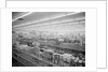 Interior View of Supermarket, 1955 by Anonymous