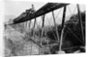 Train Crossing Railroad Trestle by Anonymous