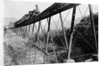 Train Crossing Railroad Trestle by Anonymous