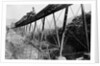 Train Crossing Railroad Trestle by Anonymous