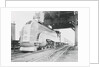 Union Pacific's Forty-Niner Train by Anonymous