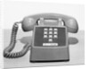 Picture Of A Standard Telephone by Anonymous