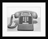Picture Of A Standard Telephone by Anonymous