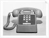 Picture Of A Standard Telephone by Anonymous