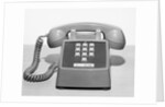 Picture Of A Standard Telephone by Anonymous