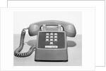Picture Of A Standard Telephone by Anonymous