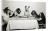 Movie Dog and Friends Celebrating Birthday by Anonymous