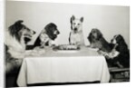Movie Dog and Friends Celebrating Birthday by Anonymous