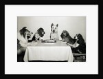 Movie Dog and Friends Celebrating Birthday by Anonymous