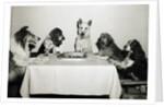 Movie Dog and Friends Celebrating Birthday by Anonymous