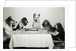 Movie Dog and Friends Celebrating Birthday by Anonymous