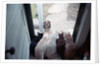 Dog Looking Through Cat-Lined Window by Anonymous