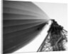 Hindenburg Attached To A Mooring Mast by Anonymous