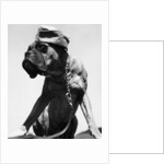 War Dog Poses Wearing Overseas Cap by Anonymous
