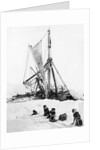 Ship Endurance Sinking in Pack Ice by Anonymous