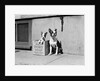 Boston Bulldog and Puppy by Anonymous