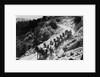 Pack Of Team Mules Going Through Sonora Pass by Corbis