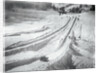 People Skiing and Sledding by Anonymous
