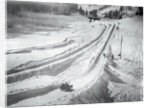 People Skiing and Sledding by Anonymous
