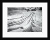 People Skiing and Sledding by Anonymous