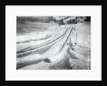 People Skiing and Sledding by Anonymous