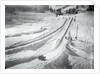 People Skiing and Sledding by Anonymous