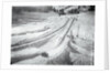 People Skiing and Sledding by Anonymous