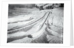 People Skiing and Sledding by Anonymous
