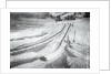 People Skiing and Sledding by Anonymous