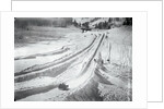 People Skiing and Sledding by Anonymous