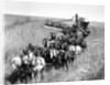 Farmers Use Horse Driven Harvester by Anonymous